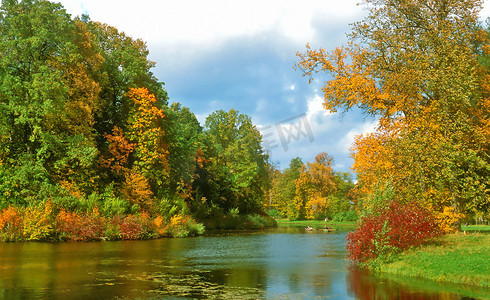 秋天风景天空摄影照片_秋天风景的密集的颜色