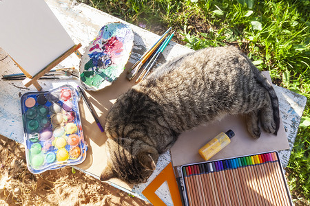 宠物用品电商淘宝摄影照片_懒猫躺在桌子上，放着学习用品。