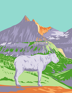蒙大拿州冰川国家公园的山羊或落基山山羊 WPA 海报艺术