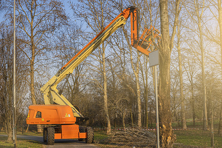 用汽车起重机升降工作平台修剪季节性树木。