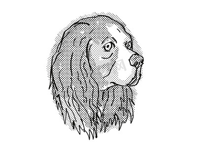 骑士国王查尔斯猎犬狗品种卡通复古绘图
