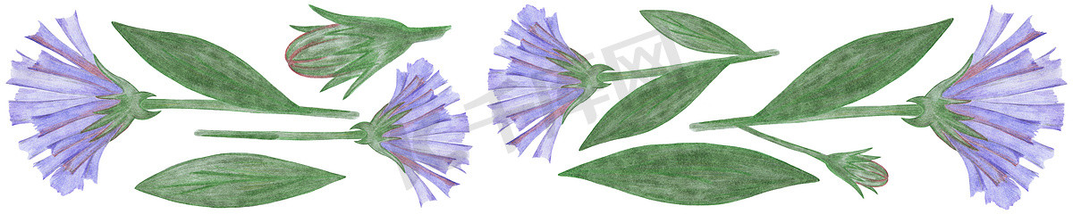 一套手绘蓝色花朵，绿色叶子在白色背景下被隔离。