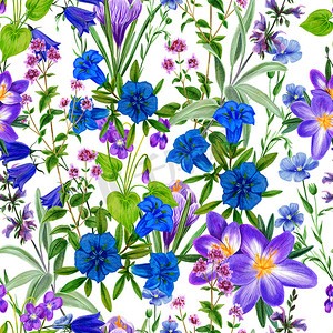 紫色蓝色水彩摄影照片_水彩无缝图案，蓝色和紫色的野花