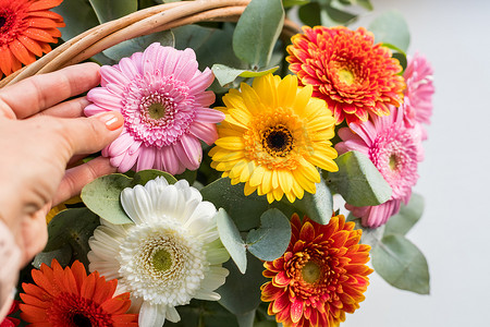 明亮美丽的花束，有黄色、橙色和红色的花朵、雏菊、碎片、特写。由五颜六色的非洲菊、菊花制成的花卉质地。