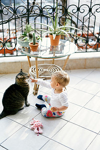 小孩坐在阳台上，靠近一张带花盆的桌子，用手指戳一只虎斑猫的鼻子