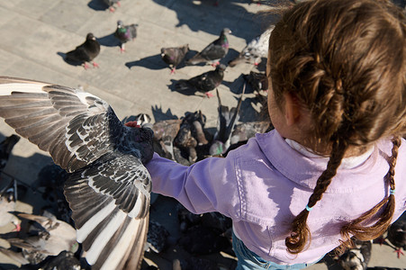 头顶上是扎着两条辫子的小女孩，正在喂食飞翔的鸽子群。