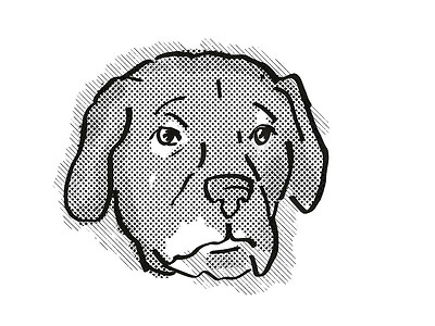 Afador 或阿富汗实验室狗品种卡通复古绘图