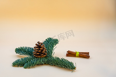 写相册优美文字摄影照片_圣诞贺卡，上面有圣诞装饰、一根小枝和肉桂，还有米色背景中您自己的文字空间