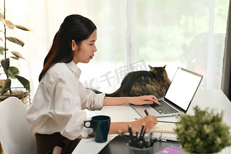 千禧一代女性在家中阅读电子邮件或查看笔记本电脑日常工作的侧视图