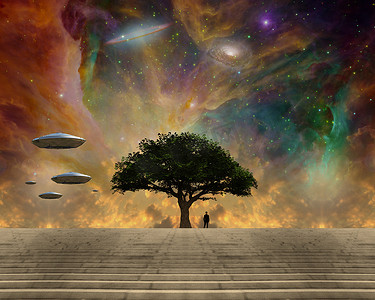 生命之树摄影照片_生命之树和宇宙飞船