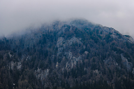 山顶的景色，在初秋的早晨，山顶被雾覆盖，有选择的焦点。