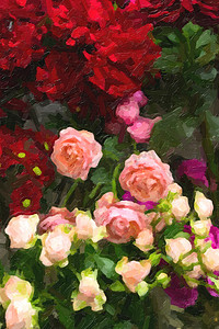 粉色油画摄影照片_红色、粉色和黄色色调的玫瑰，风格化为油画