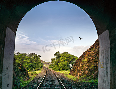 拱形隧道摄影照片_一只鸟穿过带轨道的拱形铁路隧道的图像。