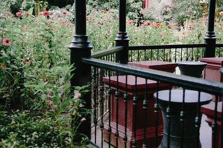 花园公园凉亭亭附近的花卉植物。
