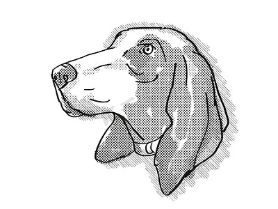 宠物手绘卡通摄影照片_Bracco Italiano 狗品种卡通复古绘图