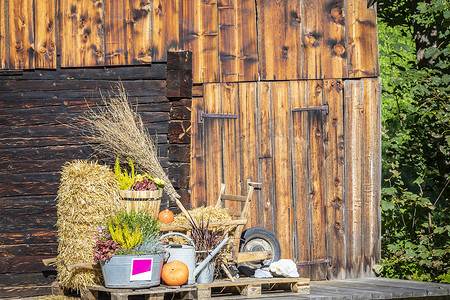 轮胎装饰摄影照片_春天乡村谷仓里的五颜六色的花朵，上面放着干草，瑞士因特拉肯