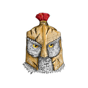斯巴达logo摄影照片_戴着斯巴达头盔纹身的猫头鹰
