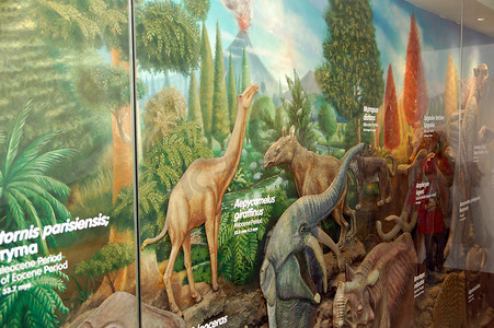 塔吉格博尼法西奥环球城心灵博物馆恐龙图片，
