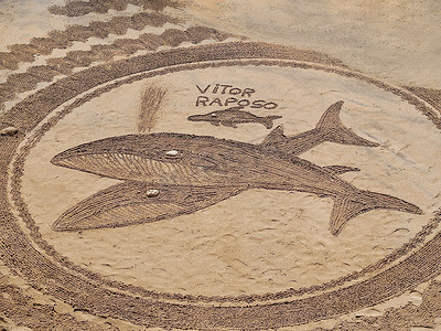 生日易拉宝x展架摄影照片_葡萄牙阿尔布费拉美丽的海滩曼陀罗，带花和海豚