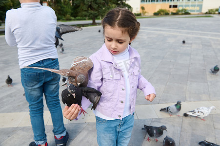 鸽群摄影照片_白人小女孩看着一只鸽子坐在她的胳膊上，同时在城市公园喂食飞鸽群