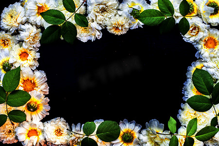 象牙芒果摄影照片_一束普通雏菊或英国雏菊或雏菊在黑色表面上的照片，在中心留下一个黑色矩形形状用于写东西。水平拍摄。