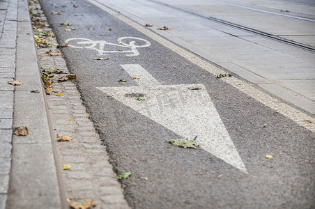 骑自行车者在狭窄的柏油路上落叶