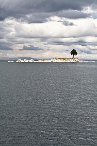 困境孤岛摄影照片_孤岛树