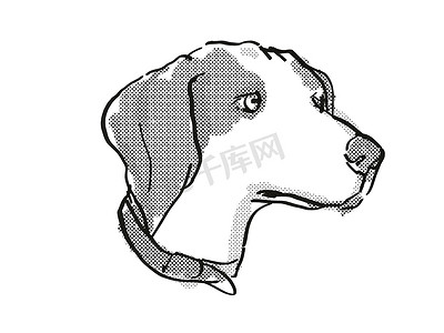 比格犬品种卡通复古绘图