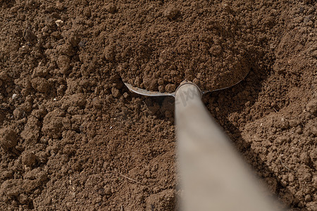铲子挖果园的土壤