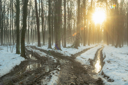 光芒摄影照片_阳光与冬季森林和泥泞的路叉的光芒