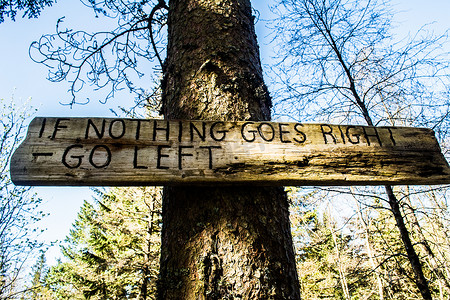 顺利摄影照片_如果一切都不顺利，请在森林中的一棵树上向左走木牌。