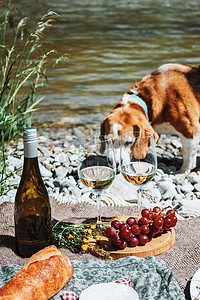 地毯花纹摄影照片_在海岸的质朴野餐，配有两个酒杯、瓶子、法式面包和奶酪。