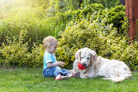 可爱的小男孩正在花园里和一只狗玩耍