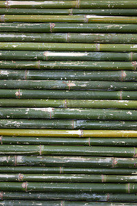 竹背景