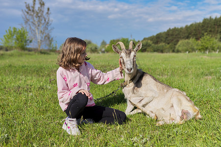 小女孩深情地抚摸躺在草地上草地上的山羊