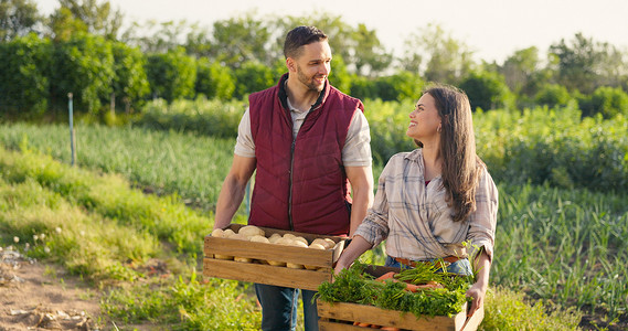蔬菜盒、农业和农民夫妇在农村生活方式、食品市场生产和供应链中的肖像。