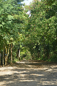 沿途摄影照片_Calinawan 路沿途有周围的树木