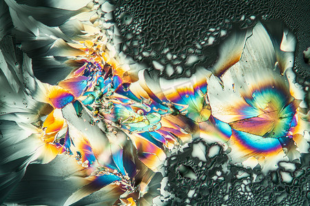 100 倍显微镜下偏振光下的谷氨酸晶体