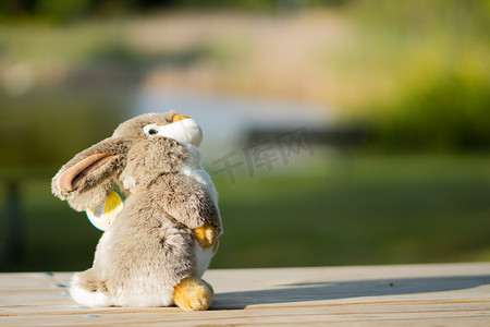 模糊的户外背景中可爱的毛茸茸的兔子
