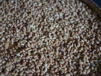 特写照片大豆的质地如何豆制品：生自制豆豉。