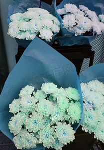 牛皮纸上的菊花美丽礼花的蓝色色调，在花店的柜台上，垂直