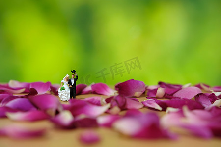 微型摄影-户外婚礼/花园婚礼概念，新娘和新郎在红玫瑰花堆上行走