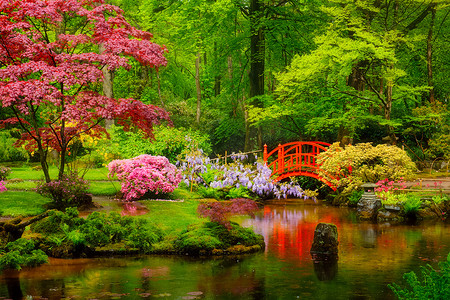 日本花园，Park Clingendael，海牙，荷兰