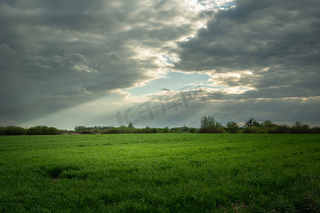 照亮黑暗摄影照片_灰色的云彩和阳光照亮了一片绿色的草地