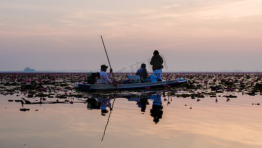 荷花开了摄影照片_在泰国北部的乌隆他尼，美丽的红莲海 Kumphawapi 开满了粉红色的花朵。