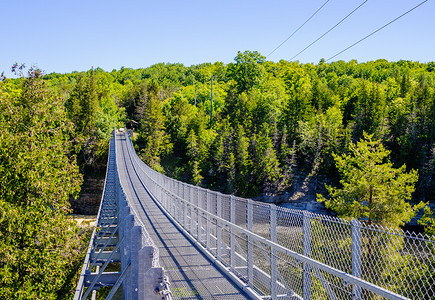 森林吊桥摄影照片_夏季的兰尼峡谷吊桥。
