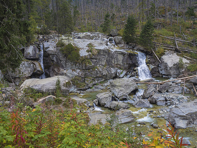 斯洛伐克高塔特拉山山谷 Velka Studena Dolina 的野生河流上的瀑布瀑布与巨石、秋季彩色树