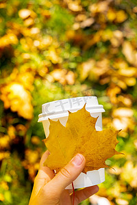 拿收集摄影照片_女人拿着生态零浪费白纸杯复制空间模型秋天秋天的枫叶黄叶。
