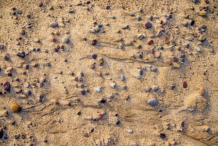 波罗的海海滩上的鹅卵石