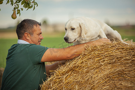 男子在乡村 4 中与她的拉布拉多狗玩耍